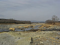 多摩川風景