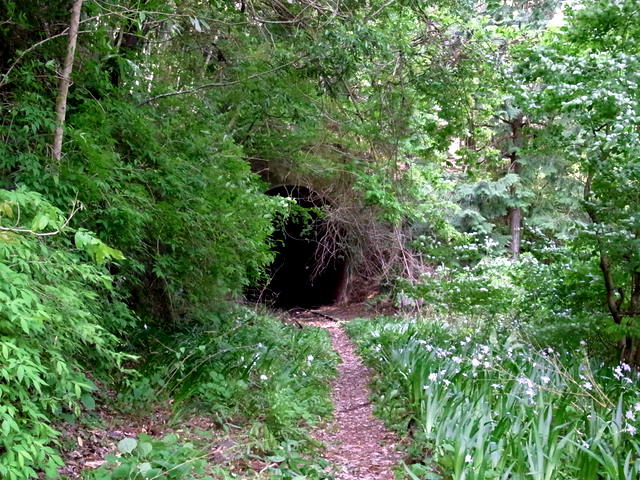 54-tunnel.JPG