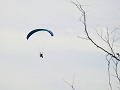 39-paraglider2_thumb.png